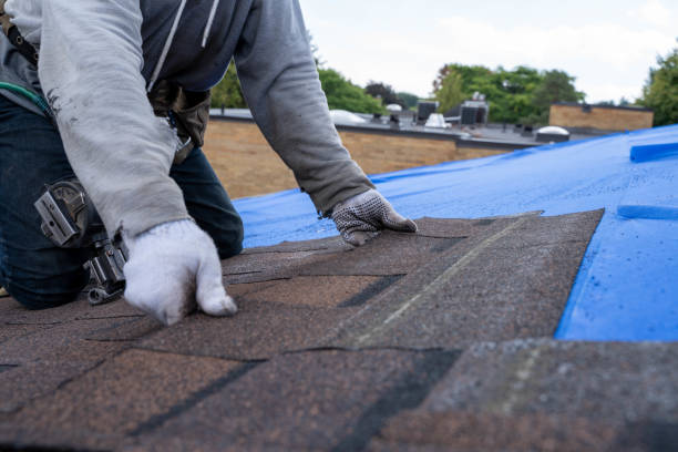 Best Gutter Installation and Repair  in Jesup, GA