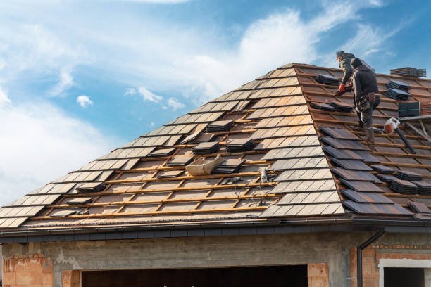 Best Roof Replacement  in Jesup, GA